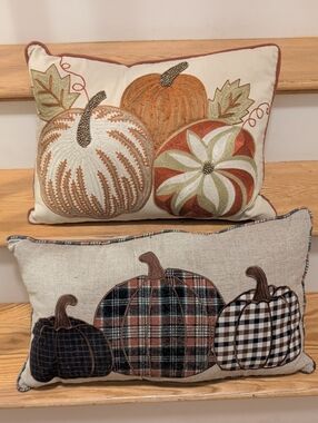 Autumn Pumpkin Accent Pillow Ls- Neutral & Orange Fall Decor..Smoke Free Home